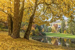 Neropark in autumn, Wiesbaden, Hesse, Germany