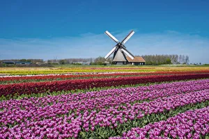 Netherlands, North Holland, Schermerhorn. Windmill, polder mill from Schermerhorn group