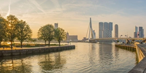 Netherlands, South Holland, Rotterdam, Erasmusbrug, Erasmus Bridge and Wilhelminakade 137