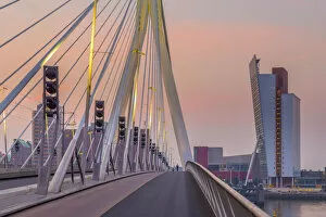 Images Dated 8th June 2017: Netherlands, South Holland, Rotterdam, Erasmusbrug, Erasmus Bridge