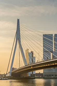 Images Dated 8th June 2017: Netherlands, South Holland, Rotterdam, Erasmusbrug, Erasmus Bridge and Wilhelminakade 137