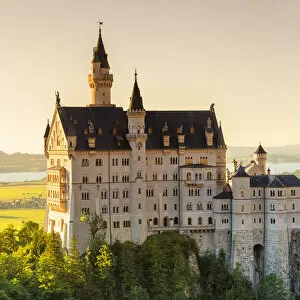 Images Dated 27th May 2021: Neuschwanstein Castle, Schwangau, Allgau, Bavaria, Germany