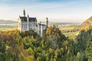 Romantic Road Prints: Neuschwanstein castle surrounded by coloured fir trees. Schwangau, Schwaben, Bavaria
