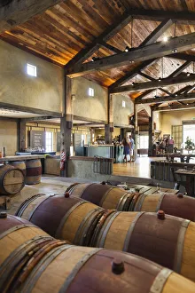 Winery Prints: New Zealand, North Island, Hawkes Bay, Taradale, Church Road Winery, wine barrels