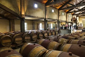 Images Dated 2nd August 2016: New Zealand, North Island, Hawkes Bay, Taradale, Church Road Winery, wine barrels