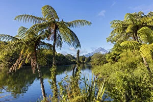 North Island Gallery: New Zealand, North Island, Lake Mangamahoe, view to Mount Taranaki
