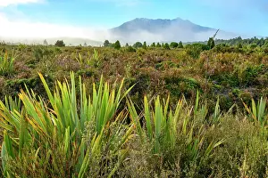 Ruapehu Prints: New Zealand, North Island, Tongariro National Park, Mt. Ruapehu