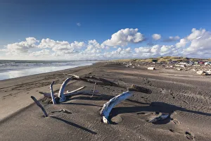 New Zealand, North Island, Wanganui, Castlecliff Beach, dunes New Zealand, North Island, Wanganui, Castlecliff Beach, dunes