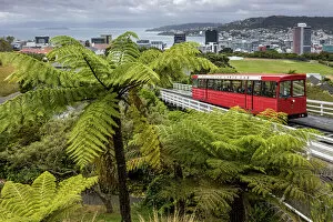 Images Dated 22nd October 2021: New Zealand, North Island, Wellington, Capital City, Cable Car