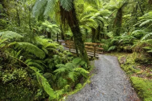 New Zealand, South Island, Hokitika Gorge Trail