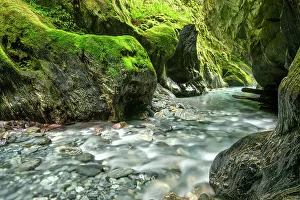 Moss Prints: New Zealand, South Island, West Coast, Haast, slot canyon