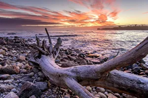 Tidal Prints: New Zealand, South Island, West Coast, Westport, Cape Foulwind, rocky beach