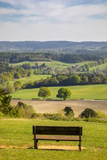 Newlands Corner, North Downs, Guildford, Surrey, England, UK
