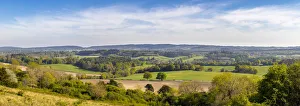 Newlands Corner, North Downs, Guildford, Surrey, England, UK