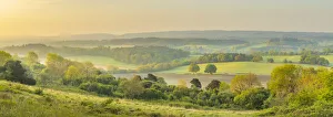 Newlands Corner, North Downs, Guildford, Surrey, England, UK