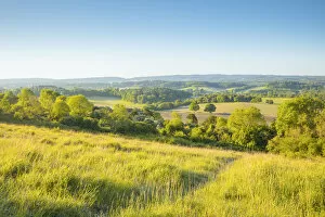 Images Dated 20th May 2020: Newlands Corner, North Downs, Guildford, Surrey, England, UK