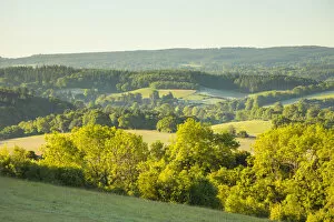 Images Dated 20th May 2020: Newlands Corner, North Downs, Guildford, Surrey, England, UK