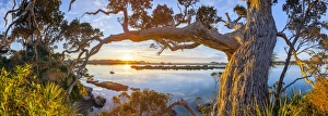 Aotearoa Prints: Ngunguru Sunrise, Tutukaka Coast, Whangarei, Northland, North Island, New Zealand
