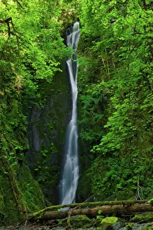 Vancouver Island Prints: Niagara Creek (River) cascades over Niagara Falls