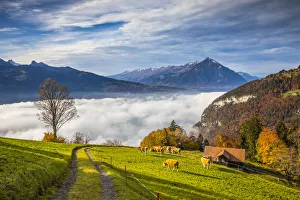 Niesen mountain and Lake Thun, Berner Oberland, Switzerland