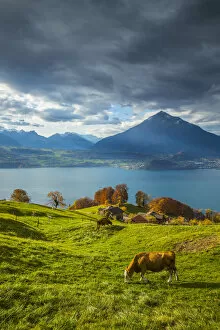 Images Dated 15th November 2018: Niesen mountain and Lake Thun, Berner Oberland, Switzerland