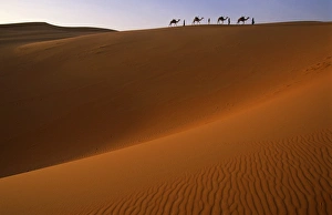 Niger, Tenere Desert