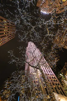 Images Dated 2nd February 2016: Night low angle view of trees wrapped with Christmas lights and Rockefeller Center