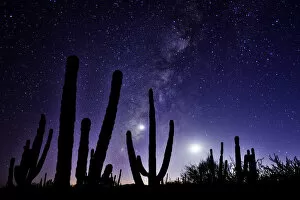 Images Dated 22nd September 2014: Night sky, La Ventanaz, Baja California, Mexico