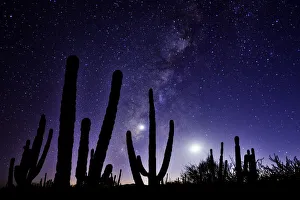 Images Dated 22nd September 2014: Night sky, La Ventanaz, Baja California, Mexico