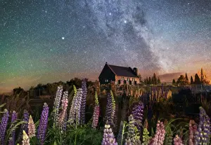Milky Way Prints: Night view of the Church of the Good Shepherd by Tekapo Lake with lupins in bloom
