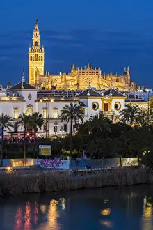 Giralda Prints: Night view of city skyline with Cathedral and Giralda bell tower, Seville, Andalusia