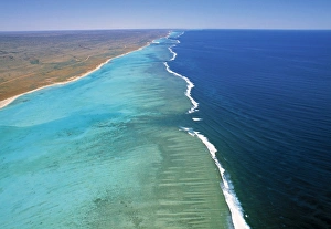 Reef Prints: Ningaloo Reef