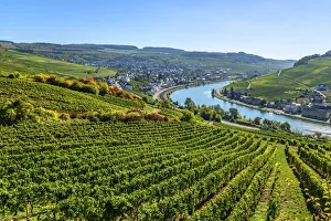 Nittel, Mosel valley, Rhineland-Palatinate, Germany