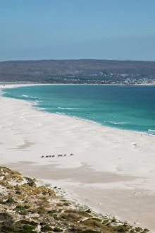 Western Cape Prints: Noordhoekstrand, Western Cape, South Africa