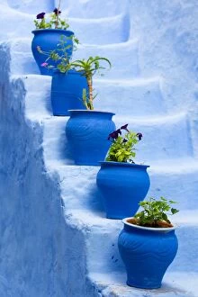 Color Collection: North Africa, Morocco, Chefchaouen district. Details of the city