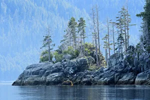 North America, Canada, British Columbia, Queen Charlotte Islands, Haida Gwaii, Gwaii