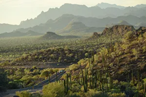 Images Dated 11th January 2022: North America, Mexico, Baja California Sur, Loreto, Highway 1