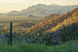 Images Dated 11th January 2022: North America, Mexico, Baja California Sur, Loreto, Highway 1