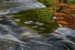 North America, Nova Scotia, Maritimes, Caledonia, Kejimkujik National Park and National Historic Site, river reflection