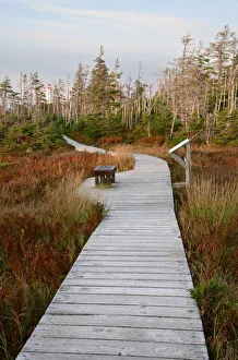 Images Dated 11th January 2022: North America, Nova Scotia, Maritimes, Cape Breton Island, Louisbourg, Lighthouse