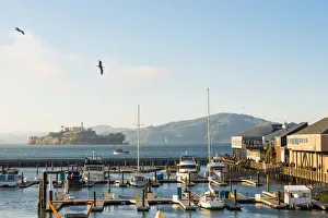 North America, USA, America, California, San Francisco, Pier 39 and Alcatraz
