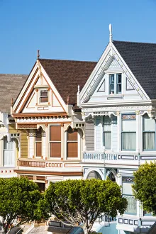 North America, USA, America, California, San Francisco, Painted ladys