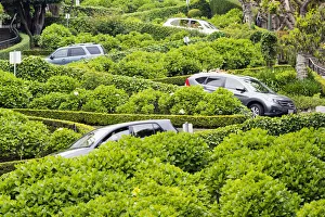 North America, USA, America, California, San Francisco, Lombard street