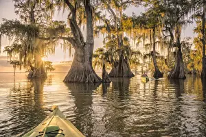 North America; USA; American; South; Seep South; Louisiana; Jefferson Parish; St