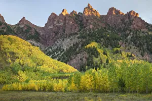 Aspen Prints: North America, USA, Rocky Mountains, Colorado, Aspen, White River National Forest