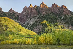 North America, USA, Rocky Mountains, Colorado, Aspen, White River National Forest
