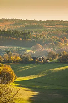 North Downs, Surrey, England, UK