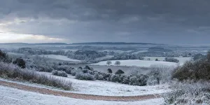North Downs, Surrey, England, UK