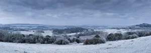 North Downs, Surrey, England, UK