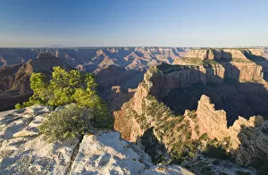 Images Dated 19th July 2017: North Rim, Grand Canyon National Park, Arizona, USA